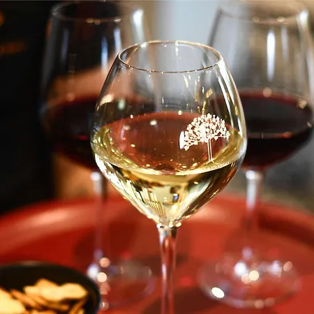 Ibis La Ferme Aux Vins 3* Бон