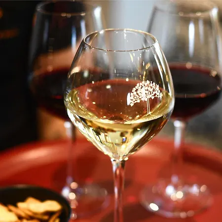 Ibis La Ferme Aux Vins Otel 3*