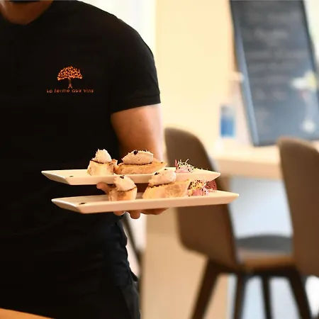 Ibis La Ferme Aux Vins Beaune (Cote d'Or)