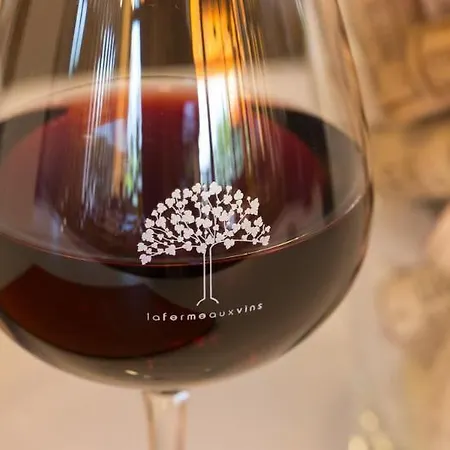 Hotel Ibis La Ferme Aux Vins 3*