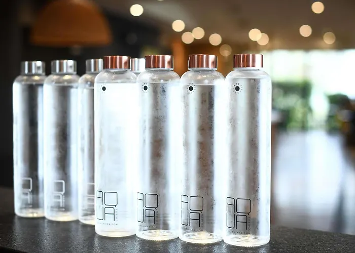 Ibis La Ferme Aux Vins Hotel 3*