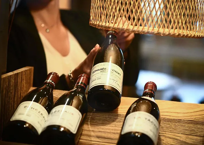 Ibis La Ferme Aux Vins Hotel Beaune (Cote d'Or)