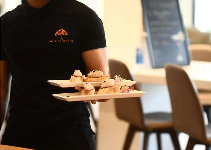 Ibis La Ferme Aux Vins Hotel Beaune (Cote d'Or)